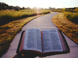 open bible leading down a winding path during day break