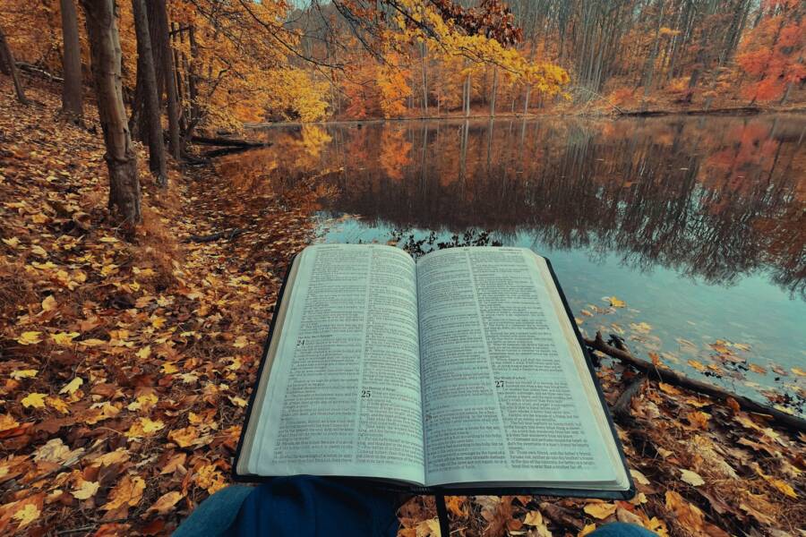 an open book sitting on top of a leaf covered ground